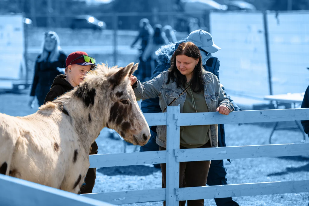 Niondeklassare är mer osäkra enligt attitydmätningen från Ungdomsbarometern
